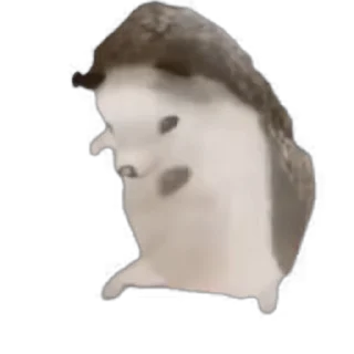 TikTok Animals 2 by @tt_digest