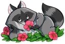 🌺