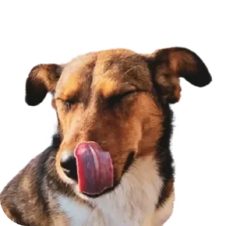 😜