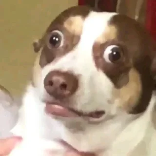 😳