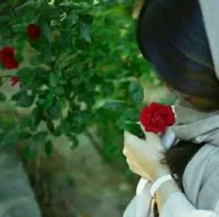 🌹