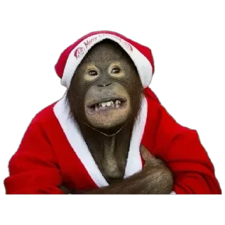 🎅
