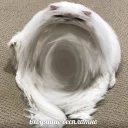 😱