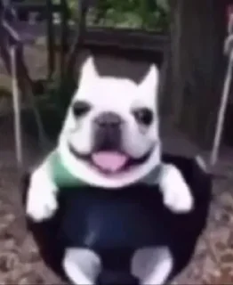 🌟