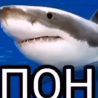 😚