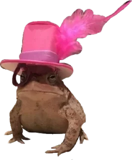 🎩