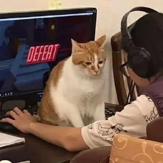 👿