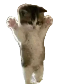 👋