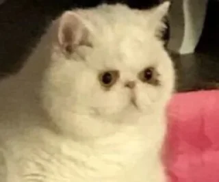 😬