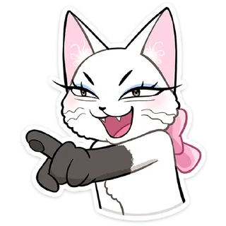 🐱