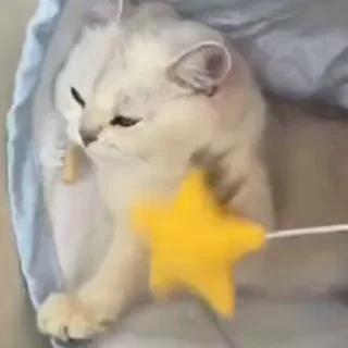 🧶
