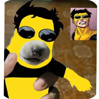 🐶