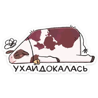 😢
