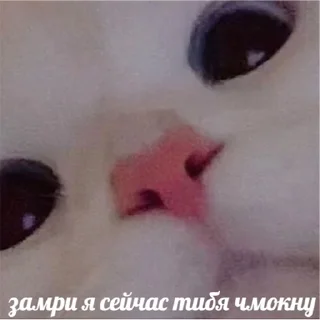 😘