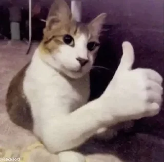 👍