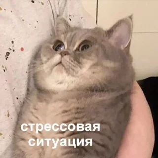 😱