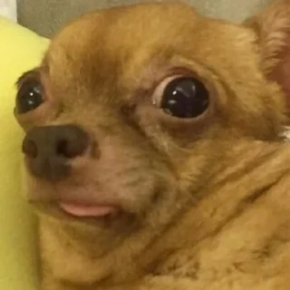 😶