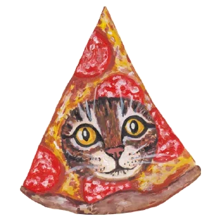 🍕