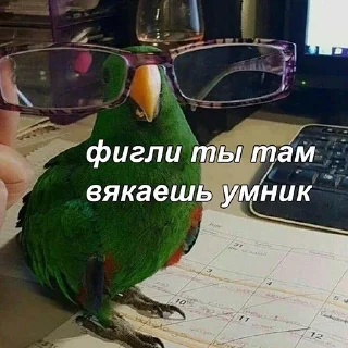 🤓