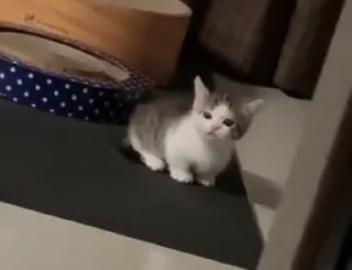 🤪