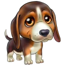 🐶