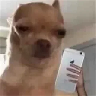 🙁