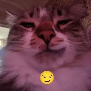 😏