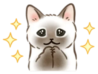 🐱