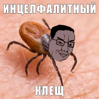 🐞
