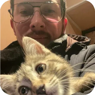 🐱