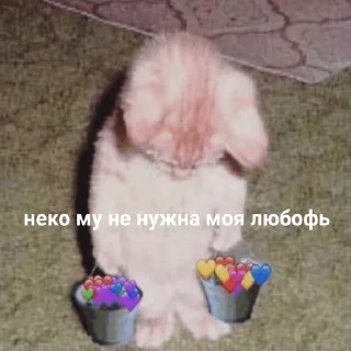 😞