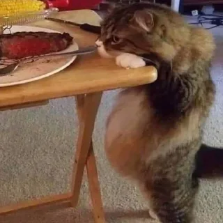 🍔