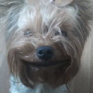 🙂