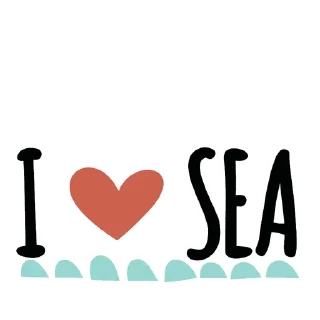 🚢