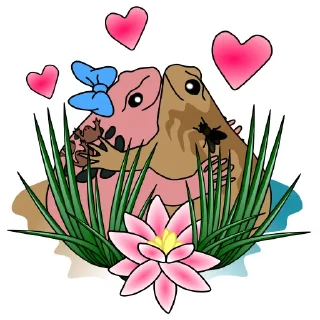 ❤️