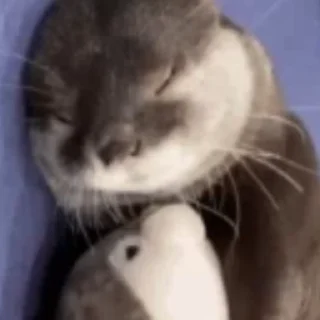 😘