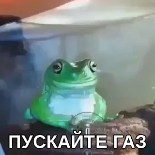 🐸
