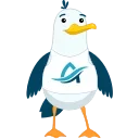 👌