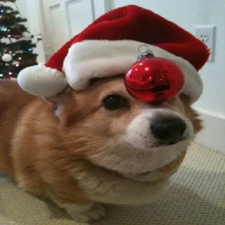 🎄