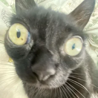 😳