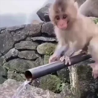 🤩