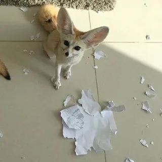 😅
