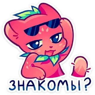😎