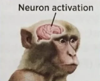 🧠