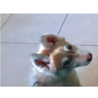 👍
