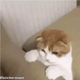 😬