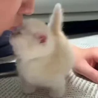 😘