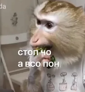 🥰