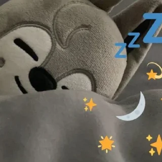 💤