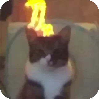 😡